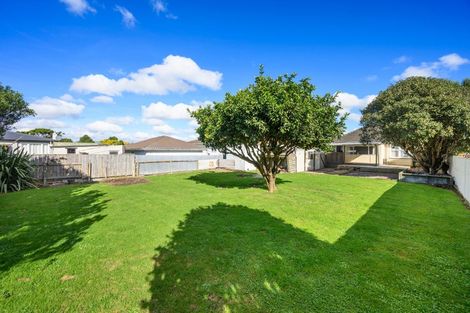 Photo of property in 33 Manchester Street, Takaro, Palmerston North, 4412