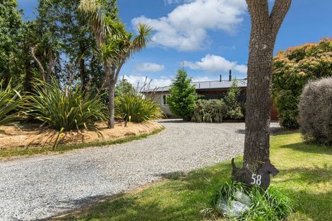 Photo of property in 58 Loach Road, Hawea Flat, Wanaka, 9382