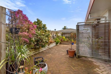 Photo of property in 86a Mcalister Street, Whakatane, 3120