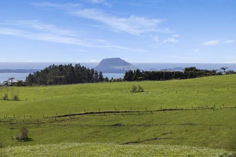 Photo of property in 596a Minden Road, Minden, Tauranga, 3176