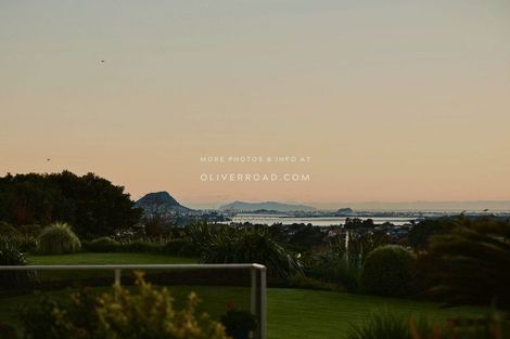 Photo of property in 9 Tupelo Place, Ohauiti, Tauranga, 3112