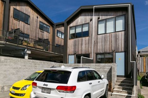 Photo of property in Aniva Terrace, 12 Arney Street, Newtown, Wellington, 6021