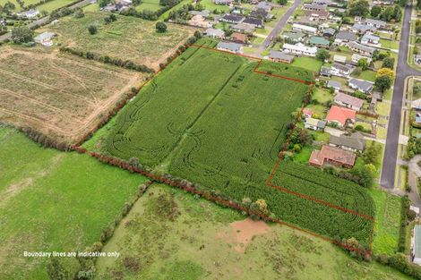 Photo of property in 20 Coolen Place, Tuakau, 2121