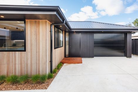 Photo of property in 25a Brightwater Terrace, Terrace End, Palmerston North, 4410