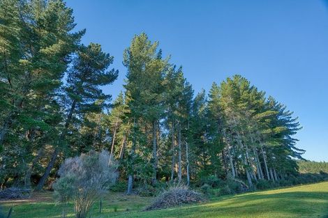 Photo of property in 89 Russell Road, Kaniere, Hokitika, 7811