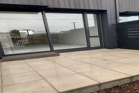 Photo of property in 14c Tory Street, Petone, Lower Hutt, 5012