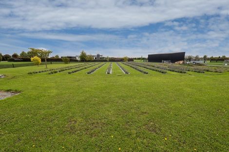 Photo of property in 59 Lanz Vale Lane, Huntingdon, Ashburton, 7774