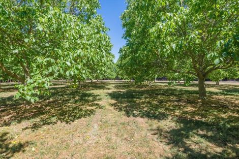 Photo of property in 138 Cullen Avenue, Swannanoa, 7475