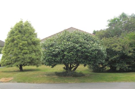 Photo of property in 30 Kenwyn Avenue, St Albans, Christchurch, 8052