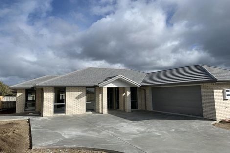 Photo of property in 199 Borman Road, Rototuna North, Hamilton, 3210