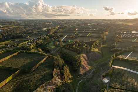 Photo of property in 612 No 1 Road, Te Puke, 3182