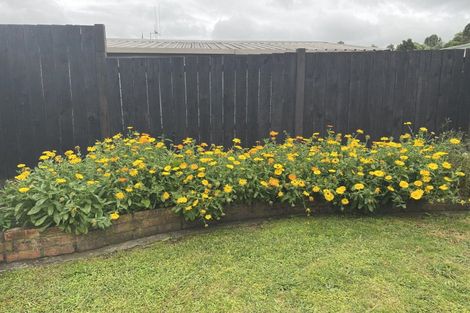 Photo of property in 78 Sinclair Terrace, Te Awamutu, 3800