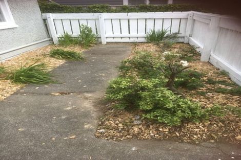 Photo of property in 14 Freyberg Street, Roslyn, Palmerston North, 4414