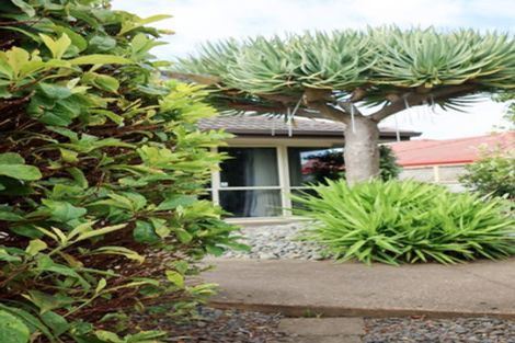 Photo of property in 14b Rosberg Place, Mount Maunganui, 3116