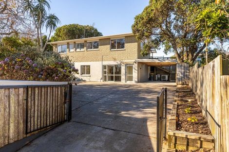 Photo of property in 219a Tukapa Street, Westown, New Plymouth, 4310