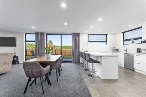 Photo of property in 45 Ashbury Drive, Tinwald, 7774