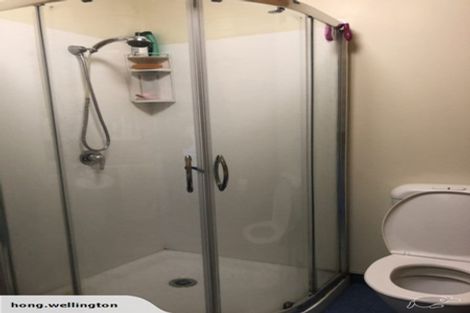 Photo of property in Basin Reserve Complex, 11/4 Sussex Street, Mount Cook, Wellington, 6021