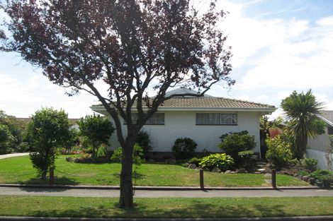 Photo of property in 113 Kaiwara Street, Hoon Hay, Christchurch, 8025