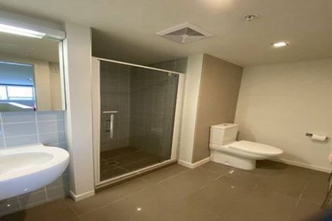 Photo of property in Republic Apartments, 5b/11 Tennyson Street, Te Aro, Wellington, 6011