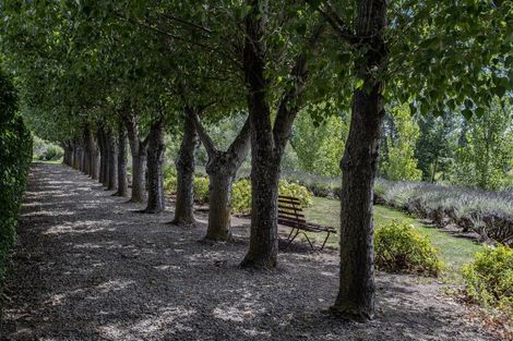 Photo of property in 41 Vineyard Lane, Waipara, 7483