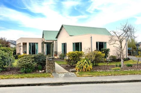 Photo of property in 17 Hewlings Place, Temuka, 7920