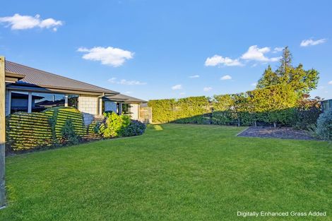 Photo of property in 4 Denton Street, Amberley, 7410