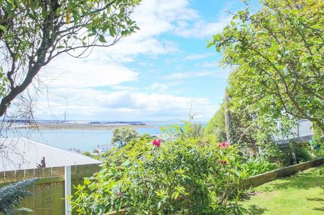 Photo of property in 46 Walker Street, Bluff, 9814