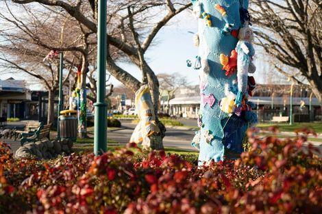 Photo of property in 1210 Cameron Road, Gate Pa, Tauranga, 3112