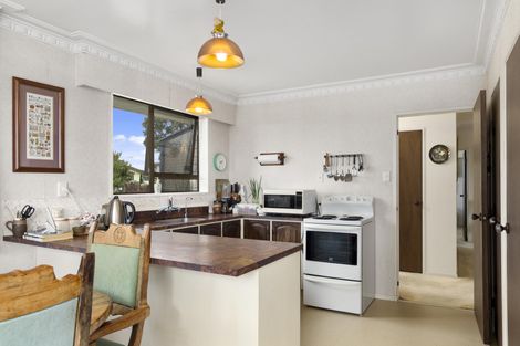 Photo of property in 29 Winchester Terrace, Bethlehem, Tauranga, 3110