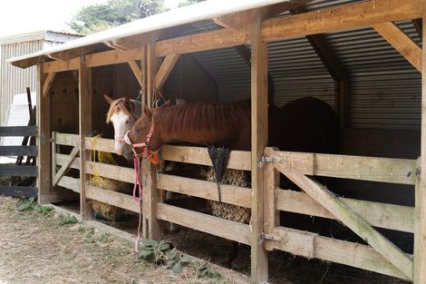 Photo of property in 329 Takarau Gorge Road, Ohariu, Wellington, 6037