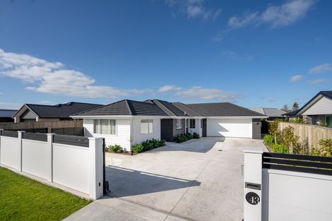 Photo of property in 43 Pharazyn Street, Feilding, 4702