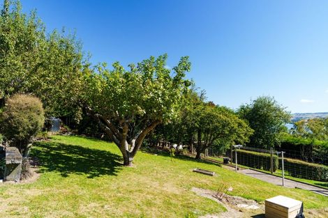 Photo of property in 28 Chatham Street, Waihola, Milton, 9073