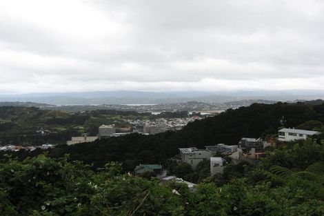 Photo of property in 117 Washington Avenue, Brooklyn, Wellington, 6021