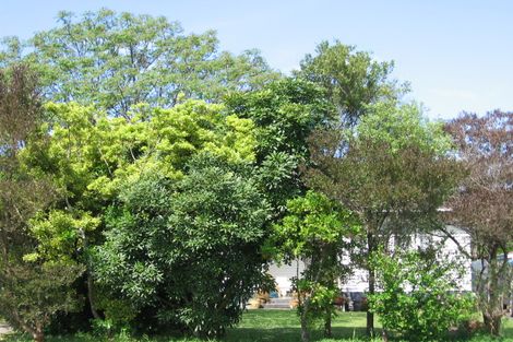 Photo of property in 30 Northcote Road, Te Hapara, Gisborne, 4010