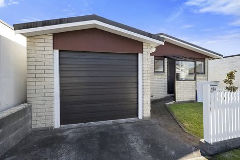 Photo of property in 19a Karamu Street, Strandon, New Plymouth, 4312