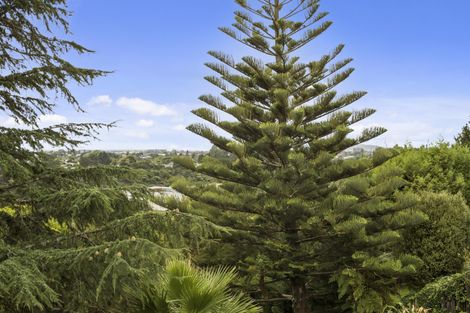 Photo of property in 29 Winchester Terrace, Bethlehem, Tauranga, 3110