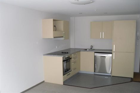 Photo of property in Dual Apartments, 306/142u Vivian Street, Te Aro, Wellington, 6011