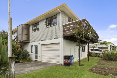 Photo of property in 29 Winchester Terrace, Bethlehem, Tauranga, 3110