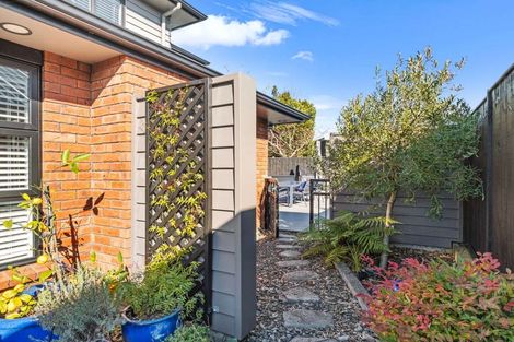 Photo of property in 112a Fitzroy Street, Terrace End, Palmerston North, 4410