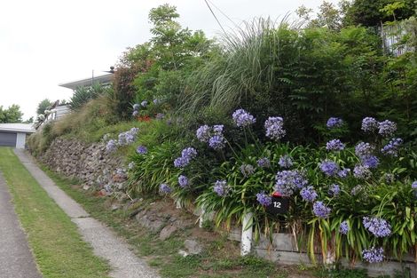 Photo of property in 12 Scott Street, Gate Pa, Tauranga, 3112
