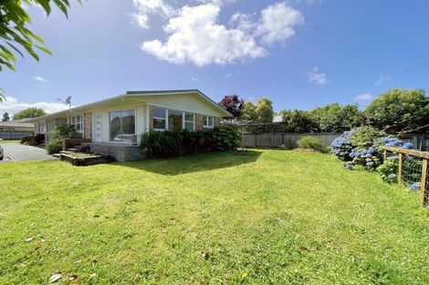 Photo of property in 47a Galloway Street, Hamilton East, Hamilton, 3216