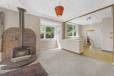 Photo of property in 511 South Road, Calton Hill, Dunedin, 9012