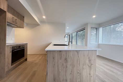 Photo of property in 1/11 Lindores Street, Addington, Christchurch, 8024