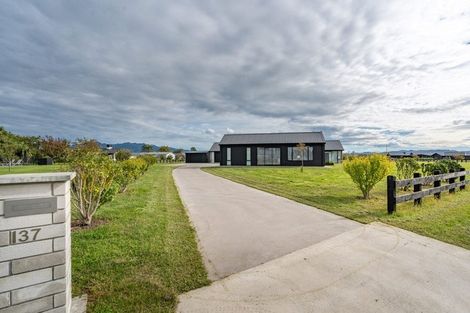 Photo of property in 137 Pilot Drive, Ngahinapouri, Ohaupo, 3882