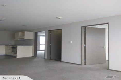 Photo of property in Dual Apartments, 508/142u Vivian Street, Te Aro, Wellington, 6011