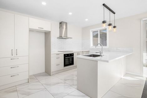Photo of property in 55 Havelock Street, Mornington, Dunedin, 9011