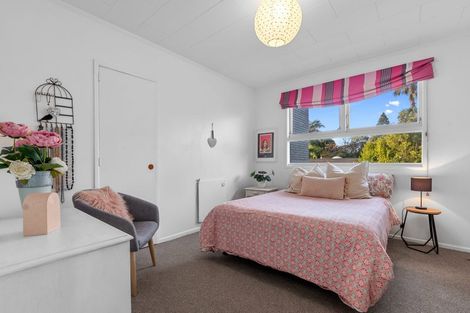 Photo of property in 132 Te Hono Street, Maungatapu, Tauranga, 3112