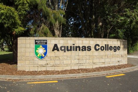 Photo of property in 87 Merriman Place, Pyes Pa, Tauranga, 3112