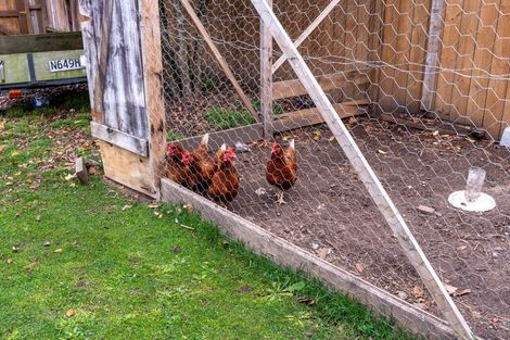 Photo of property in 45a Jellicoe Drive, Hamilton East, Hamilton, 3216