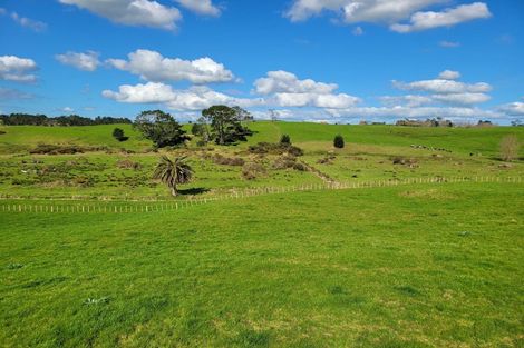 Photo of property in 110a Colville Road, Dargaville, 0371